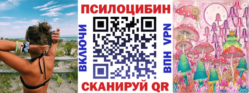 как найти наркотики  Полярные Зори  Галлюциногенные грибы GOLDEN TEACHER 