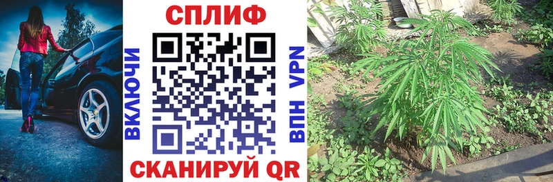 Бошки марихуана планчик  Полярные Зори 